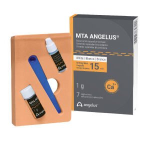 1 gram of MTA